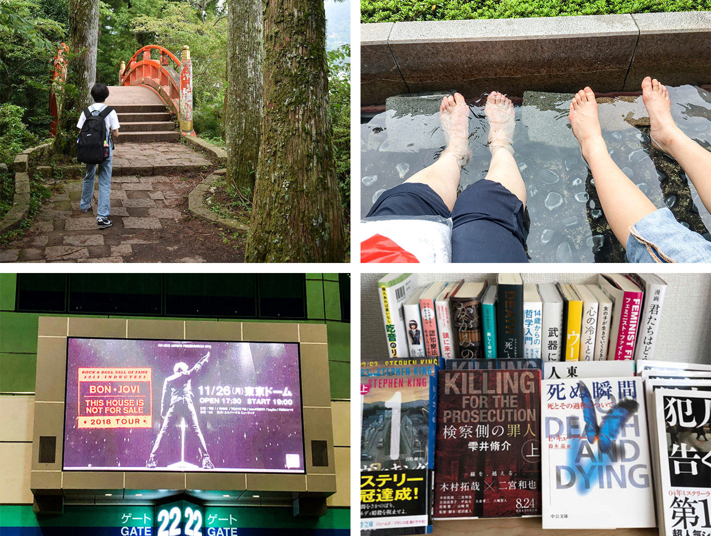 楽しみのひとつ　お写真