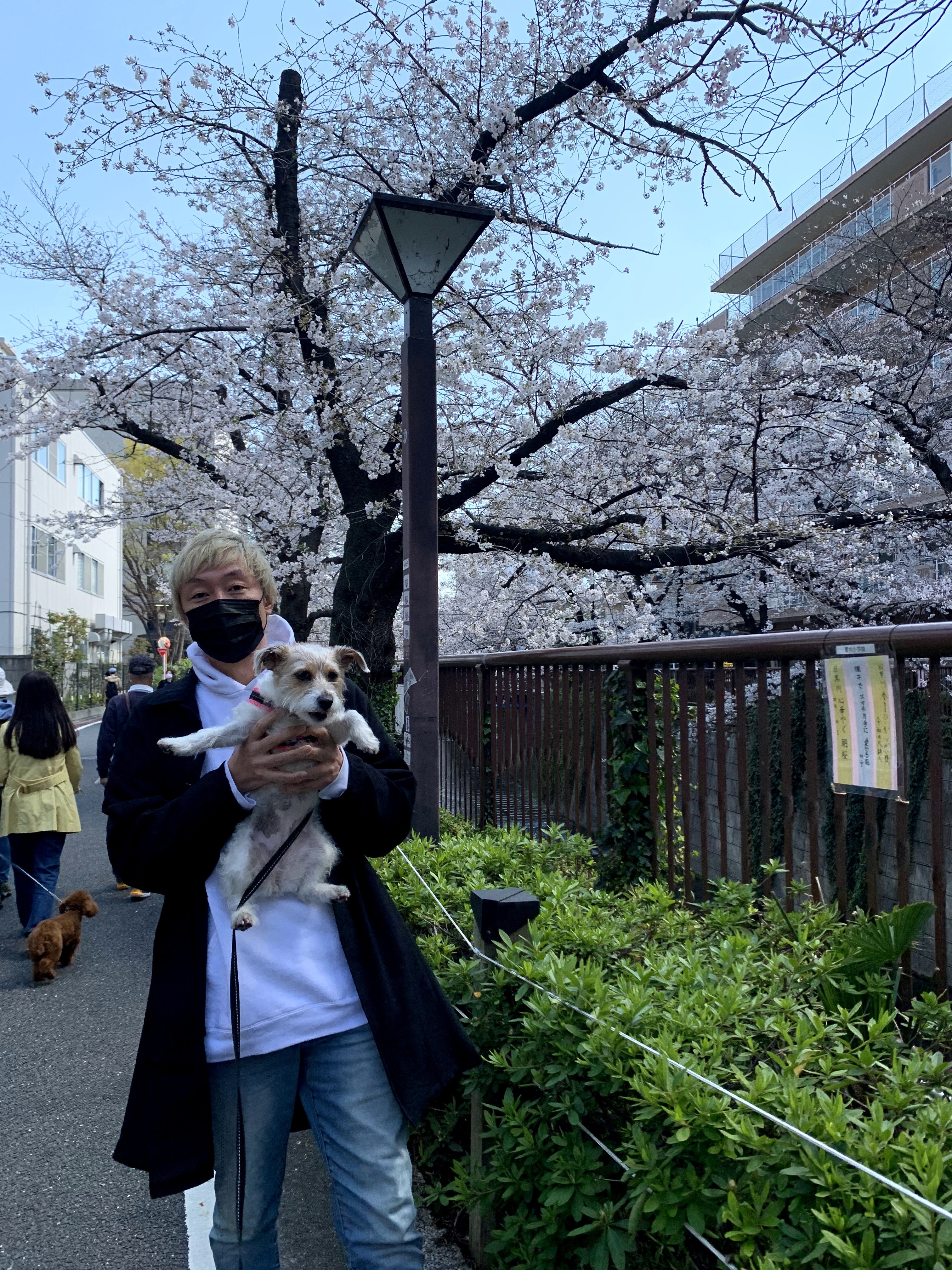 愛犬とのお写真