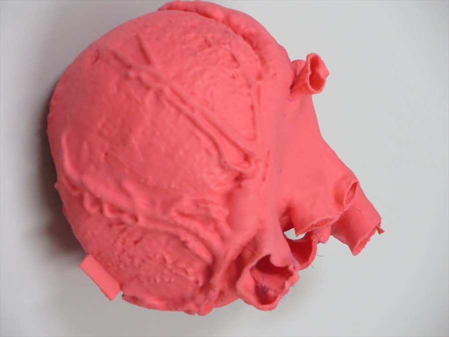 心臓模型の写真