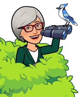 onadamayさんの写真