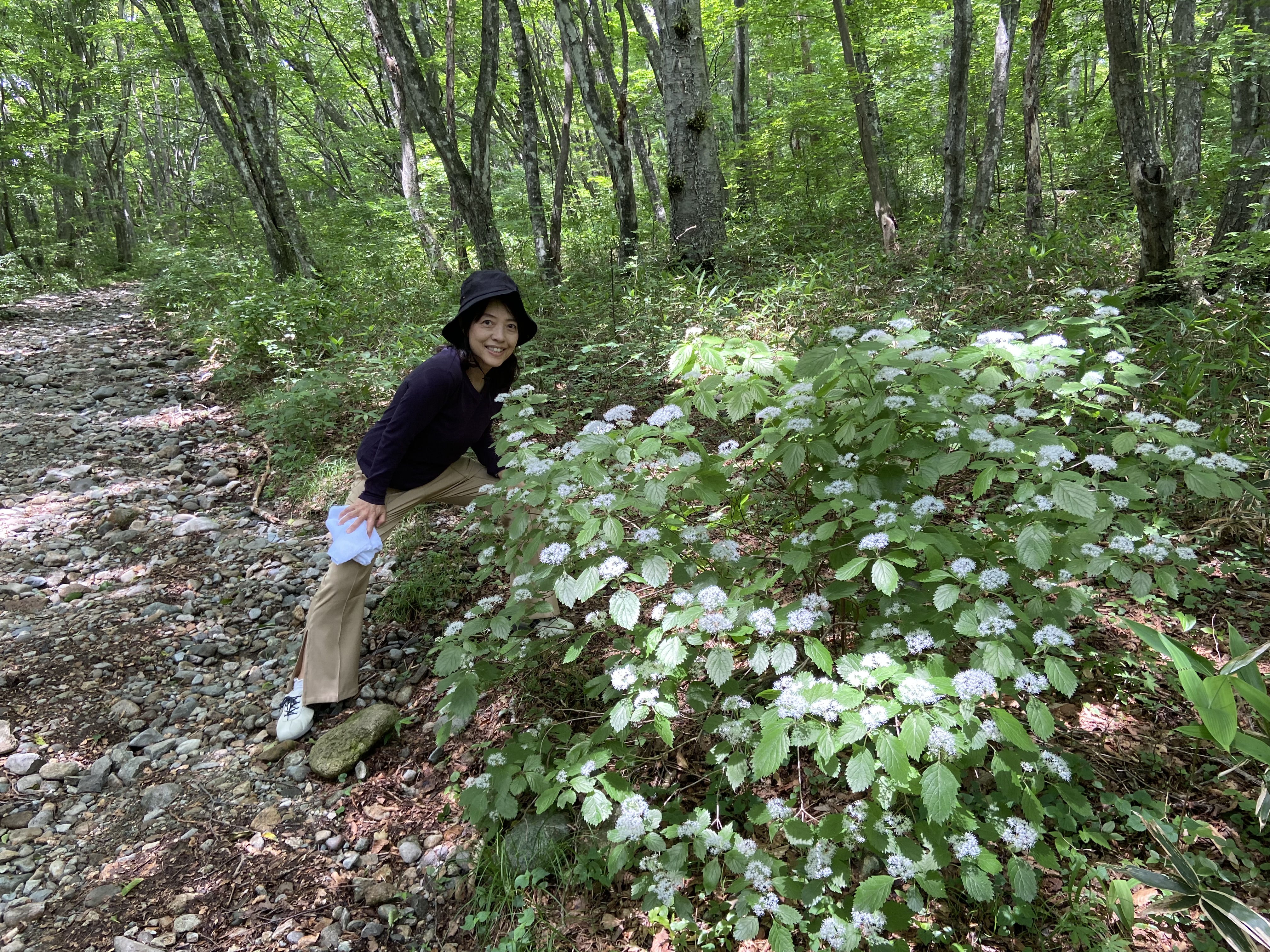 2002年6月に出かけた那須旅行、小アジサイの前で