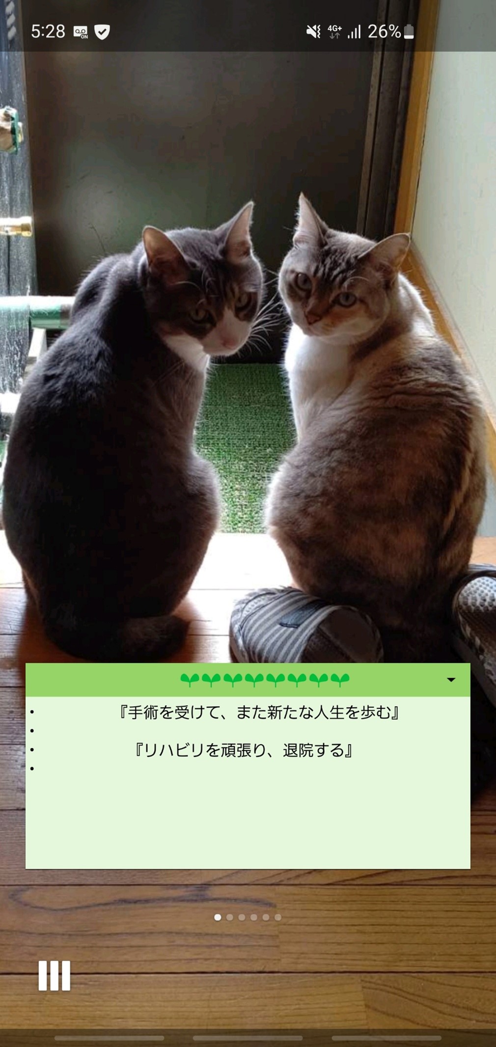 スマホの待ち受けのキャプチャ